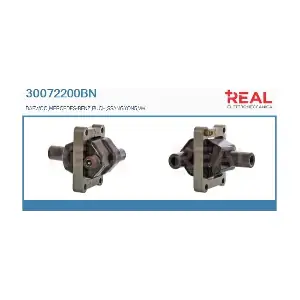 REAL 30072200BN