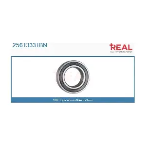 25613331BN REAL