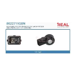8022711GBN REAL
