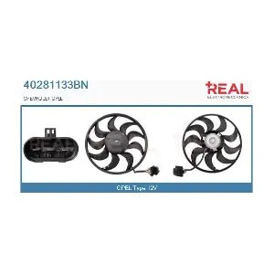 40281133BN* REAL