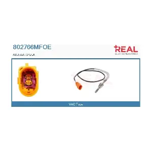 802766MFOE REAL