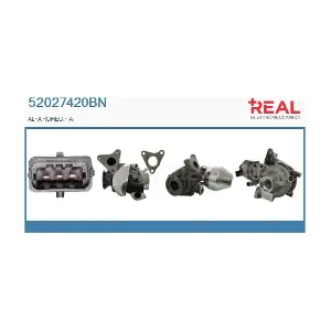 52027420BN REAL