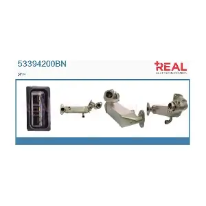 REAL 53394200BN
