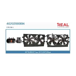 40202000BN REAL