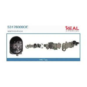 REAL 53176000OE