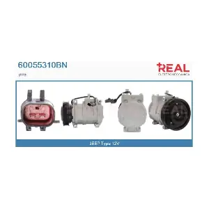 REAL 60055310BN