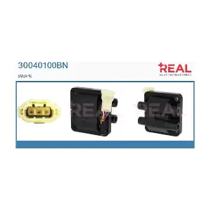 30040100BN REAL