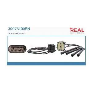 REAL 30073100BN