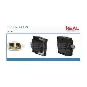 30087500BN REAL