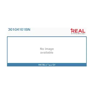 30104101BN REAL