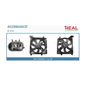 40289040OE REAL