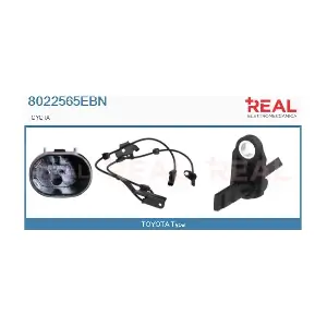 8022565EBN REAL