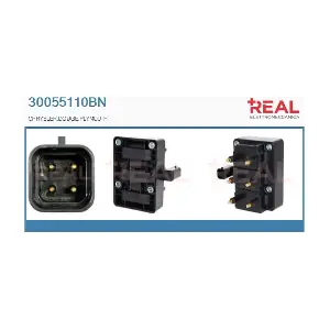 30055110BN REAL