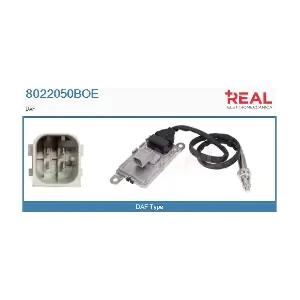 8022050BOE REAL