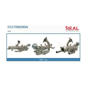 53376800BN REAL