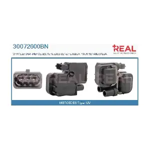 REAL 30072600BN