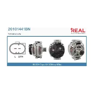 20101441BN REAL