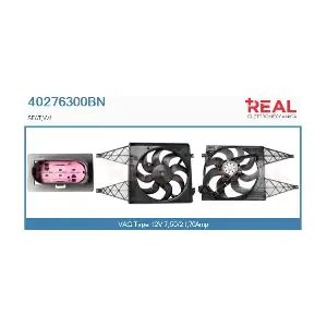 40276300BN REAL