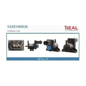 53281000OE REAL