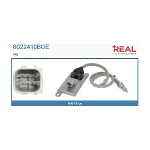 8022410BOE REAL