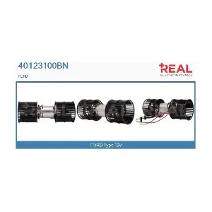 40123100BN REAL