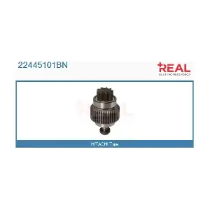 22445101BN REAL