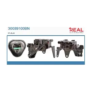 30089100BN REAL