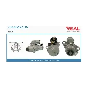 REAL 20445491BN