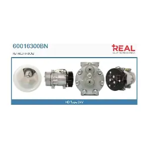 60016300BN REAL