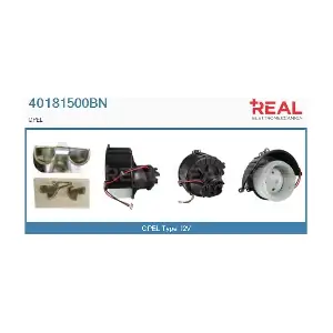 REAL 40181500BN