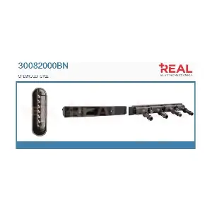 REAL 30082000BN