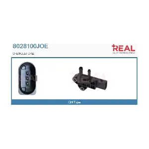 8028100JOE REAL