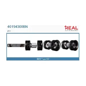 40194300BN REAL