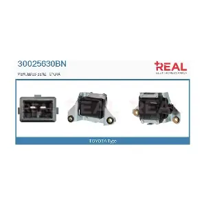30025630BN REAL