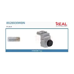 8028930WBN REAL