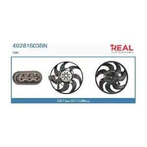 40281603BN REAL