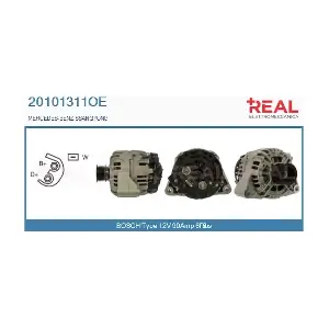 REAL 20101311OE