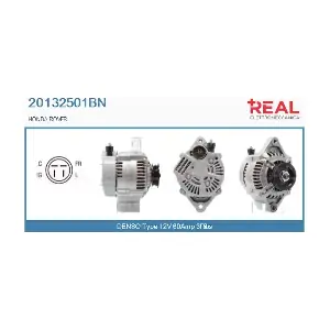 REAL 20132501BN