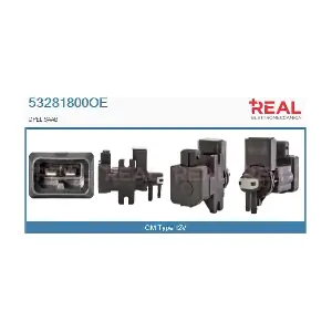 53281800OE REAL