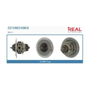 52190310KS REAL