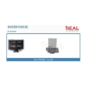 40089100OE REAL