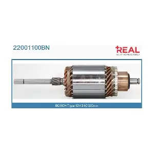 22001100BN REAL