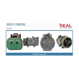 60011300OE REAL