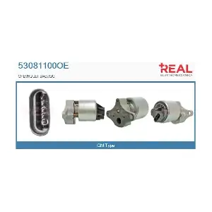 53081100OE REAL