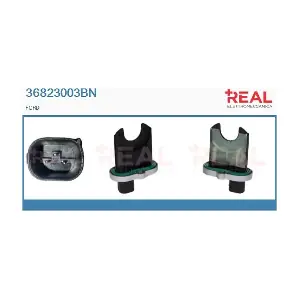 36823003BN REAL