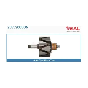 REAL 20779600BN