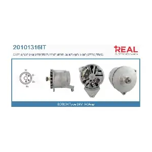 REAL 20101316IT