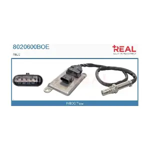 8020600BOE REAL
