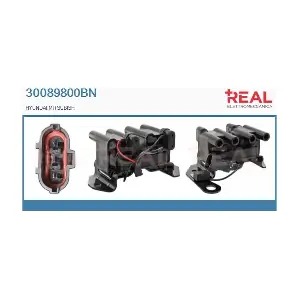 30089800BN REAL