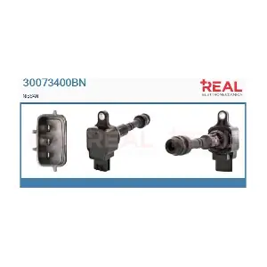 30073400BN REAL